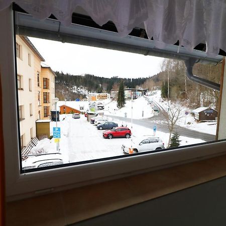 Apartmany Jana Янске Лазне Екстериор снимка